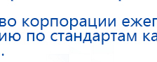 Пояс электрод купить в Талице, Выносные электроды купить в Талице, Официальный сайт Денас denaspkm.ru